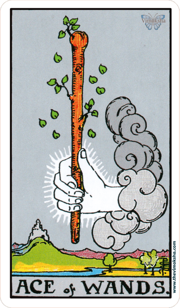 36 ACE OF WANDS