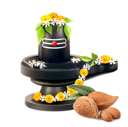 shivling-almond-shell